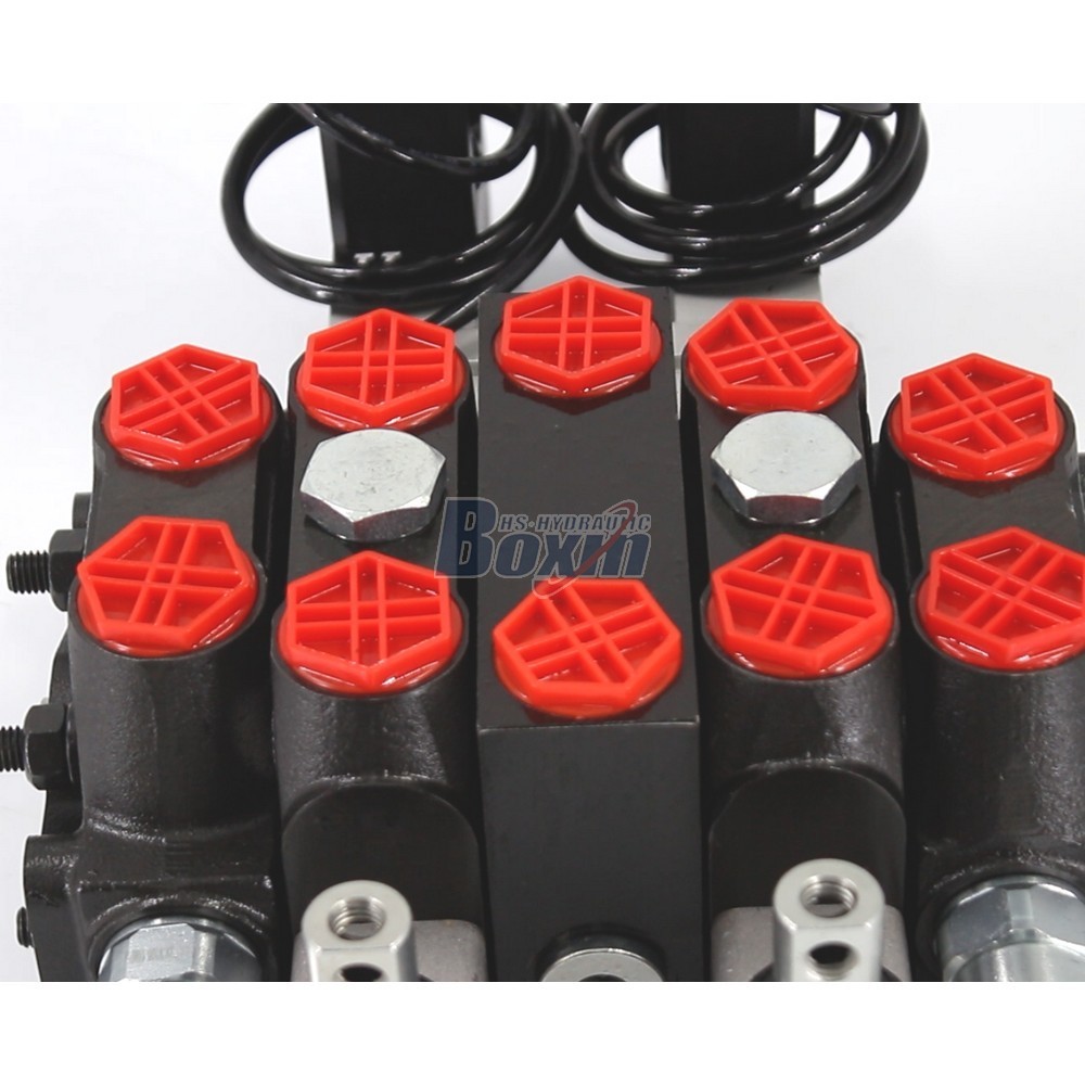 DCV100 Series 2 Spool Sectional Valve for Hydraulic Systems detail image